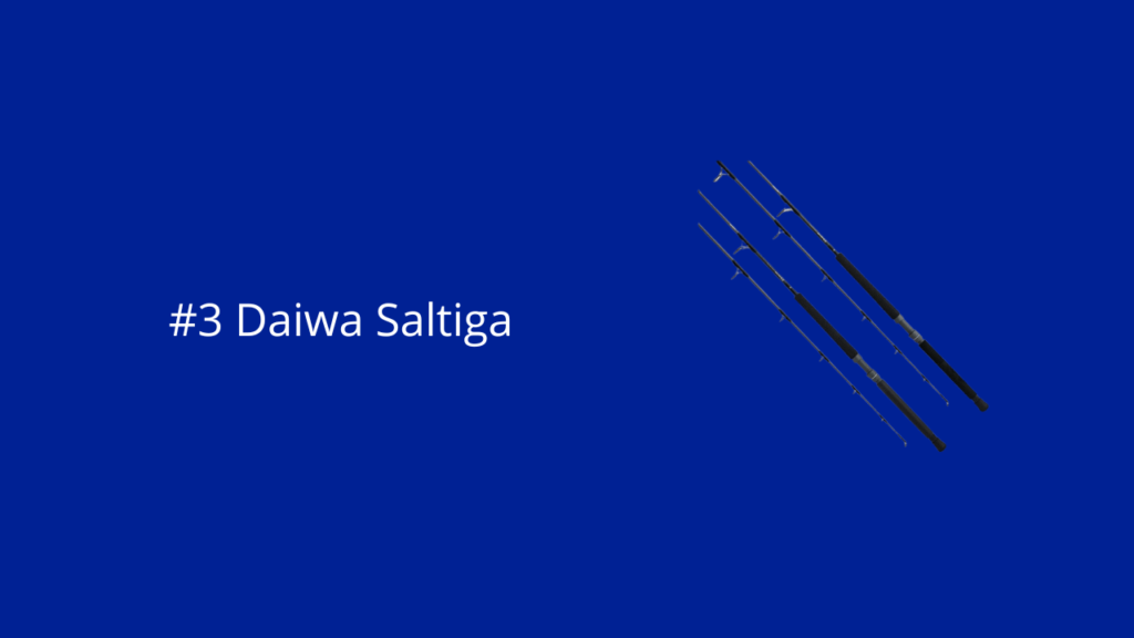 Dit is de Daiwa Saltiga Boat Rod vishengel 
