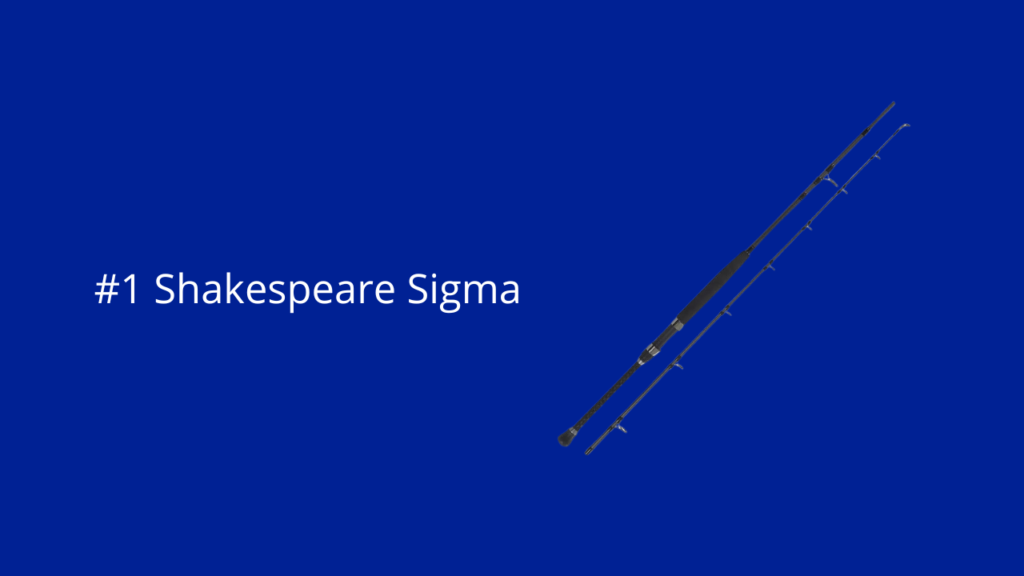 Dit is de Shakespeare Sigma Supra Boat Rod vishengel