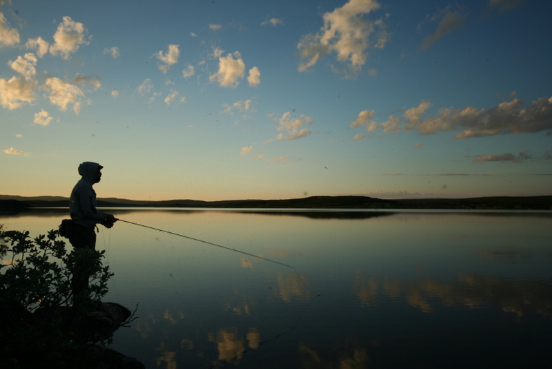 Laksefjordvidda een geweldige plek in Noorwegen om te vissen op forel.